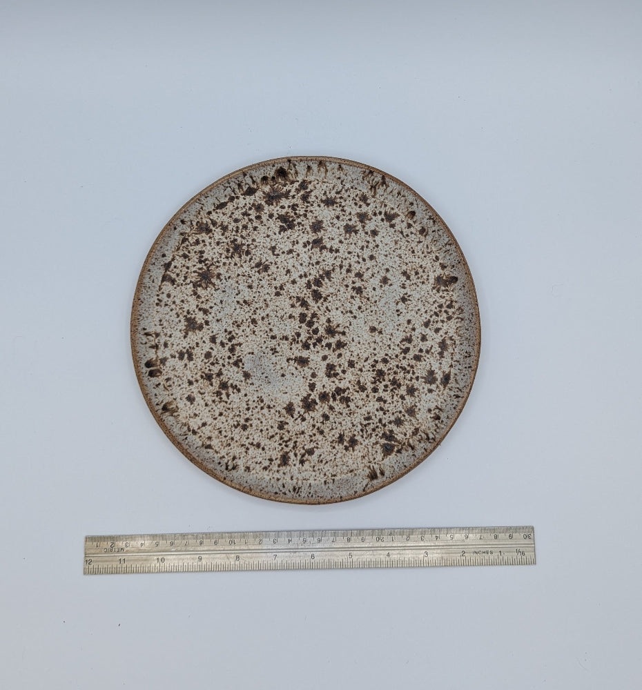 Handcrafted Speckled Earth-Toned Ceramic Plate